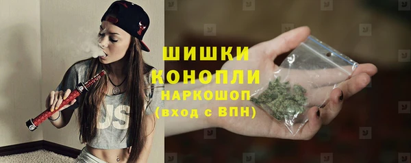 дмт Вяземский